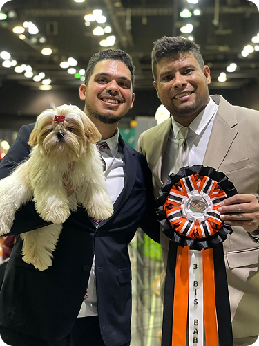 0dc4407e-3d62-4e3d-9e3b-17457a5b0958