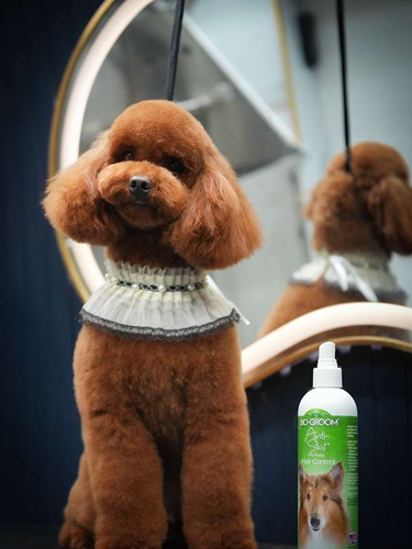 a505987d-eb06-432d-814f-25a9c9981a69 1