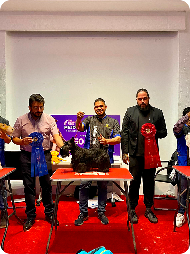 a530e370-0f02-4b3f-b6b2-20ecdb214ebf