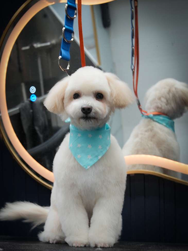 a75c861c-e4eb-4205-98f2-cdb6b4236e56 1